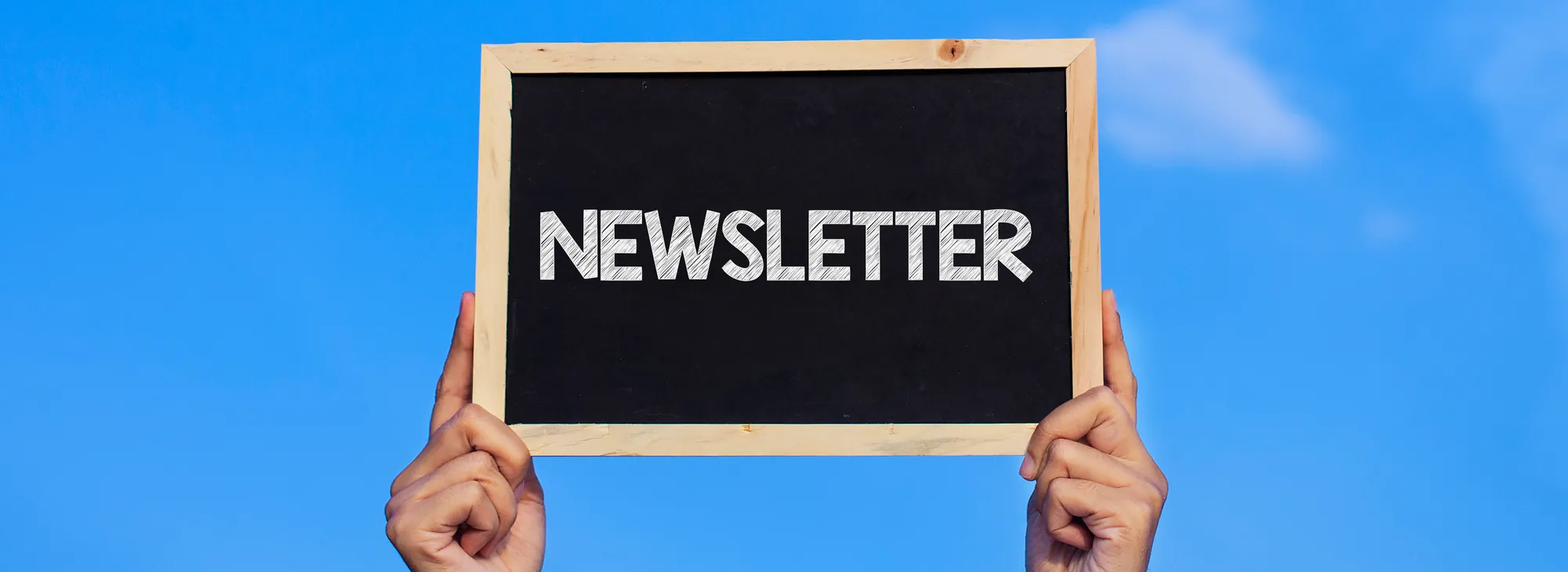Newsletter im Verein erstellen